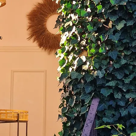 Osrodek Wypoczynkowy Karolina * ステグナ