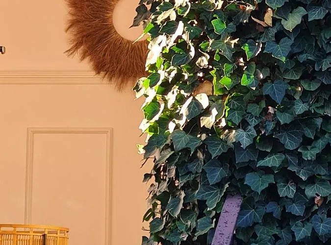 Osrodek Wypoczynkowy Karolina * Stegna